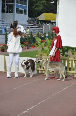 Rasowe piękności - 27