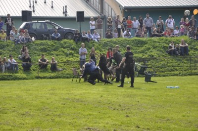 Rasowe piękności - 25