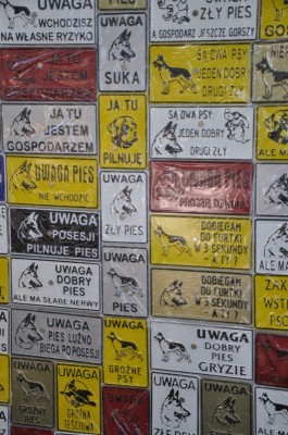 Rasowe piękności - 1