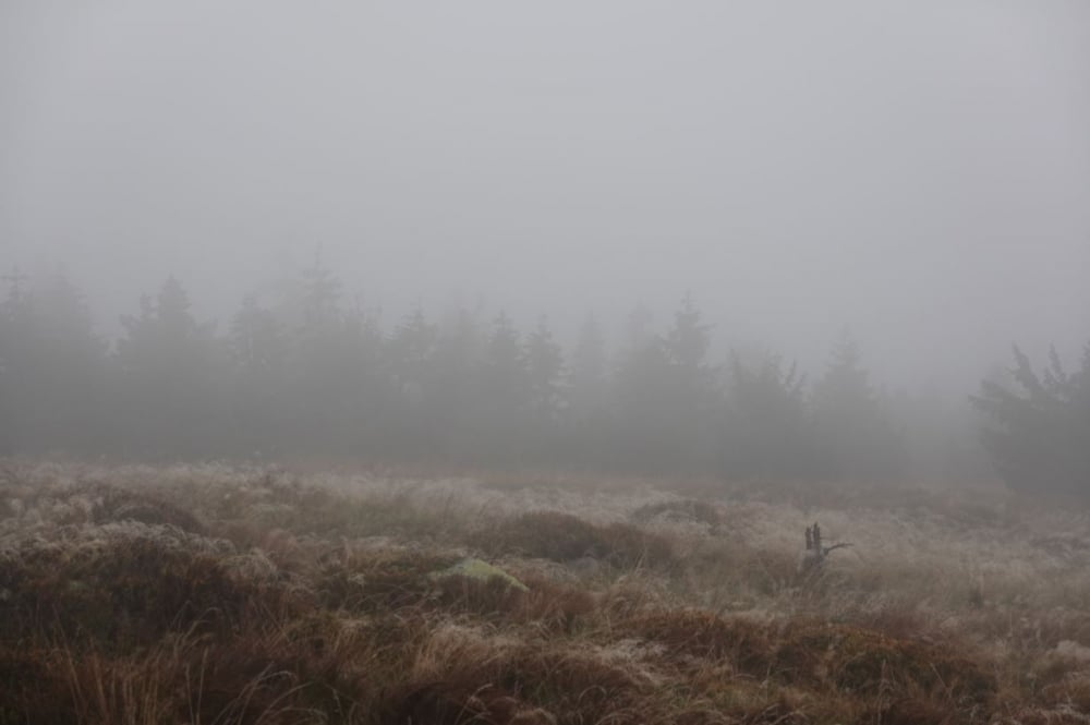 W Karkonoszach pada śnieg [ZOBACZ] - fot. Piotr Słowiński