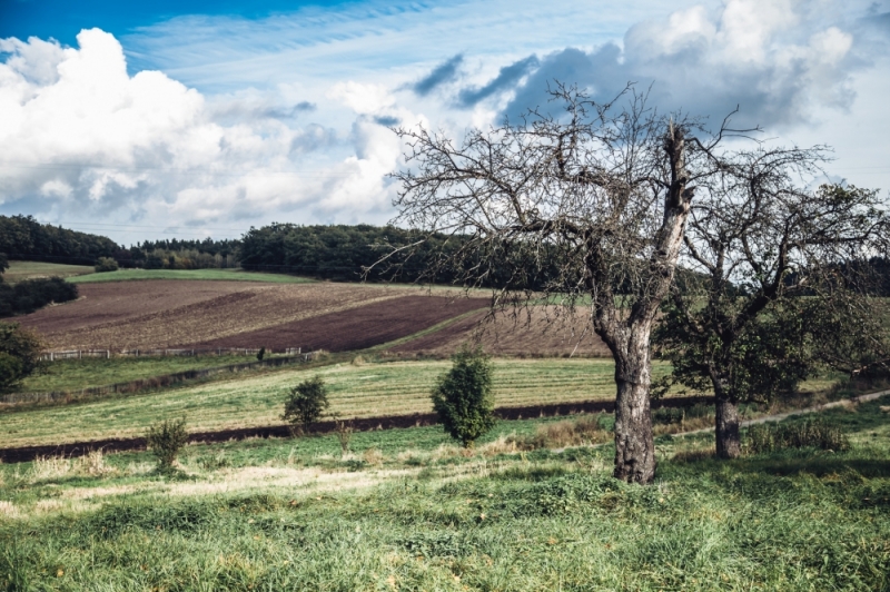 Sielsko [ZDJĘCIE DNIA] - fot. Patrycja Dzwonkowska