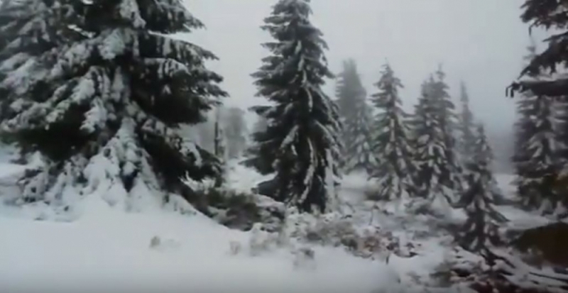 Zima zawitała w Karkonosze [FILM]  - fot. Elżbieta Wienke