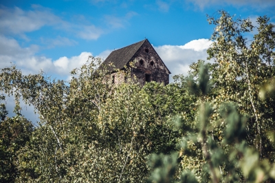 Choć w ruinie, stoi nadal dumnie na wzgórzu. Zamek Świny [FOTOSPACER] - 2