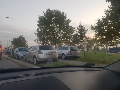 Wrocław: nielegalny parking wzdłuż ul. Awicenny