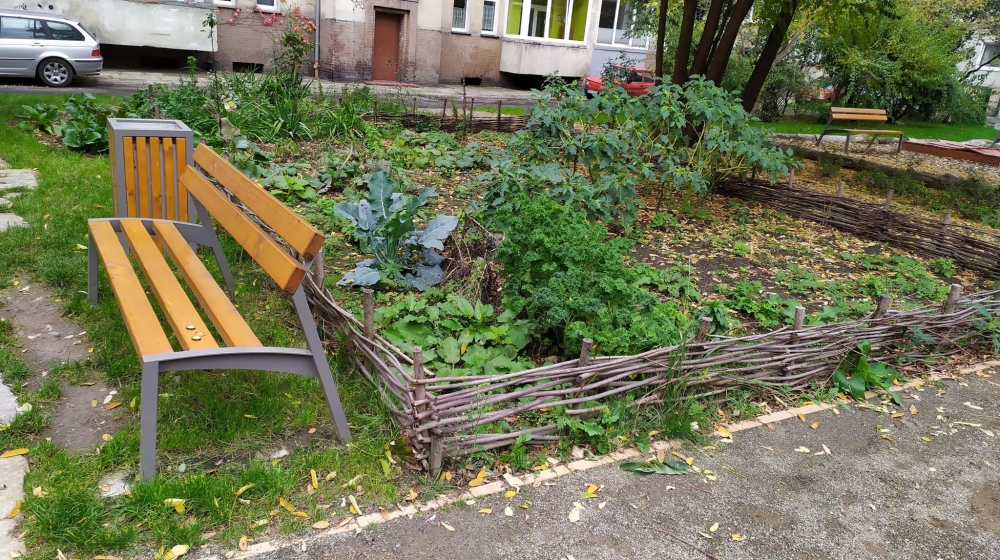 Ogrody społeczne - wrocławska alternatywa dla ogródków działkowych - fot. Dorota Kuźnik