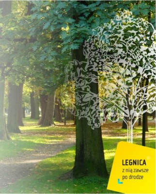 W Legnicy znowu zielono? (Posłuchaj) - 1