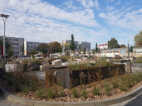 Wrocław: Metamorfoza podwórka na Szczepinie. Jeszcze kilka miesięcy temu było tam klepisko - 2