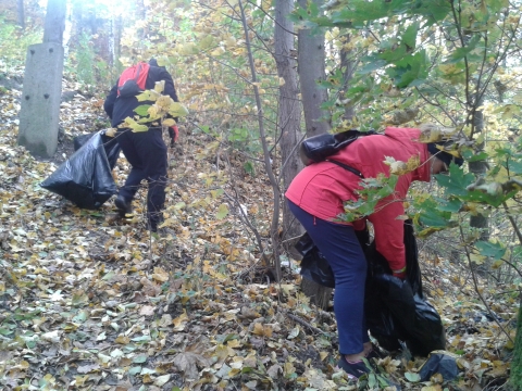 Od strażaków ochotników po urzędników. Trwa sprzątanie Jeziora Bystrzyckiego - 2