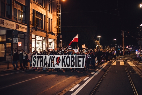 Zwolennicy liberalizacji prawa aborcyjnego nie składają broni - 17