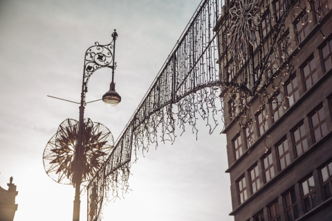 Wrocław: Idą święta! Rozpoczął się montaż choinki [ZDJĘCIA] - 5