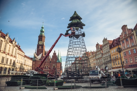 Wrocław: Idą święta! Rozpoczął się montaż choinki [ZDJĘCIA] - 8