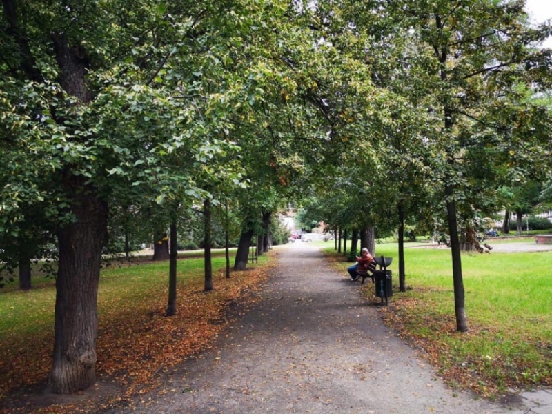 Wrocław: Park przy Kolejowej wypięknieje - mat. prasowe