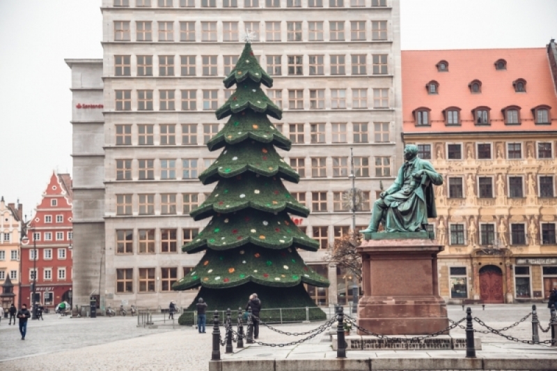 Jaka jest choinka, każdy widzi. Ale jak wybrać "naj"? Nasz ekspert Wam podpowie - (fot. Patrycja Dzwonkowska / Radio Wrocław)