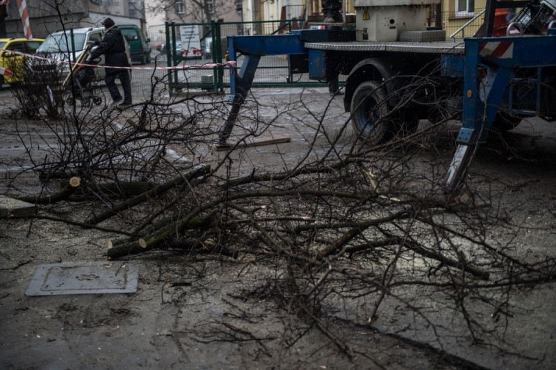 Drzewo spadło na trakcję. Nie kursują tramwaje - zdjęcie ilustracyjne (fot.archiwum radiowroclaw.pl)