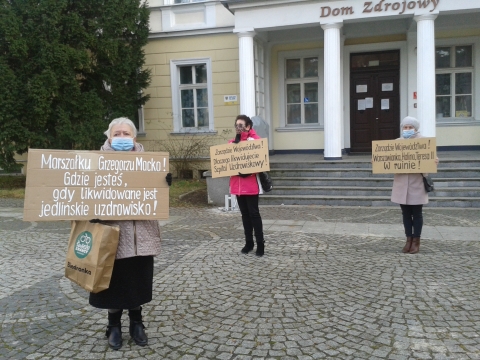 Mieszkańcy nie chcą pozwolić na likwidację Domu Zdrojowego w Jedlinie - 1