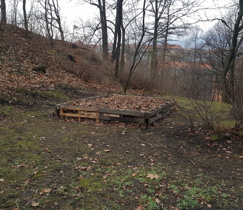 Nowy azyl dla wałbrzyskich jeży - fot. Bartosz Szarafin