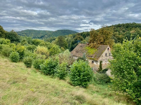 Remont nowej siedziby DIOZ-u. Potrzebna pomoc - 6