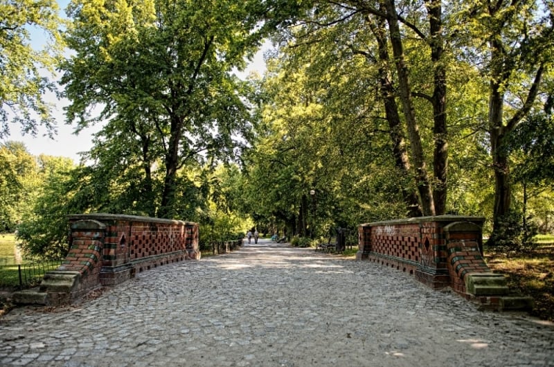 Wrocław: W tym roku na zieleń miejską i przestrzeń zieloną miasto wydało 20 mln zł - fot. archiwum Radia Wrocław (zdjęcie ilustracyjne)