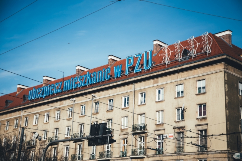 ZDJĘCIE DNIA: Wrocławski złodziej - Fot. Patrycja Dzwonkowska