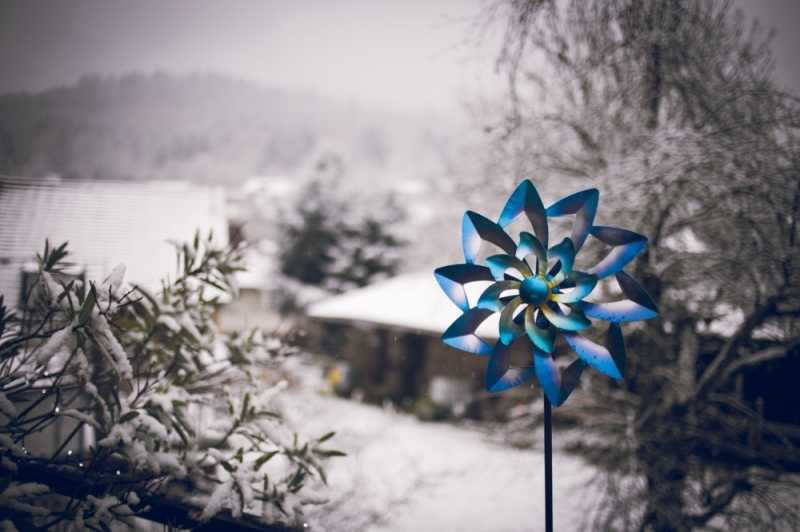 Zdjęcie dnia: Zimową porą - fot. P. Dzwonkowska
