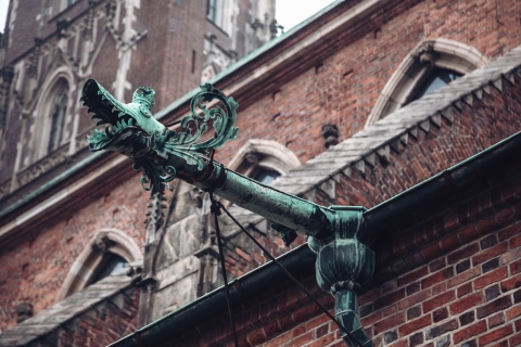 Rzygacze, maszkarony i spadająca głowa - Katedra Wrocławska w detalach [FOTOSPACER] - 14