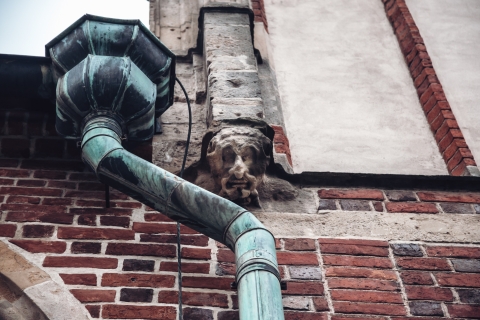 Rzygacze, maszkarony i spadająca głowa - Katedra Wrocławska w detalach [FOTOSPACER] - 16