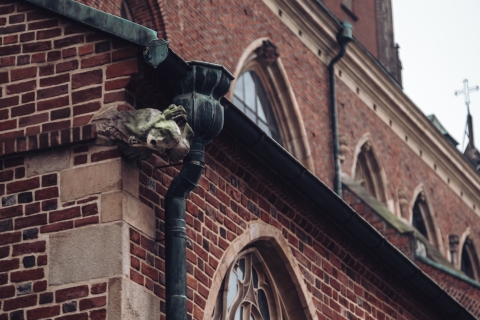Rzygacze, maszkarony i spadająca głowa - Katedra Wrocławska w detalach [FOTOSPACER] - 17