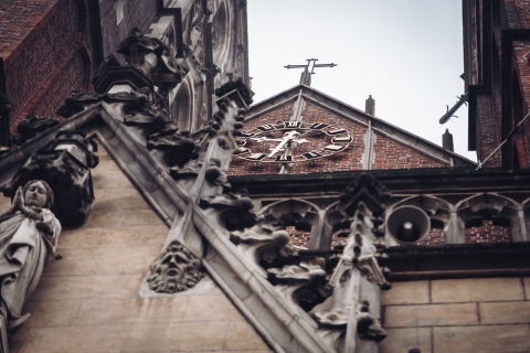 Rzygacze, maszkarony i spadająca głowa - Katedra Wrocławska w detalach [FOTOSPACER] - 3