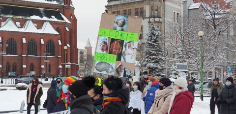 Legnica: Protest przeciwko zaostrzeniu regulacji antyaborcyjnych - 2