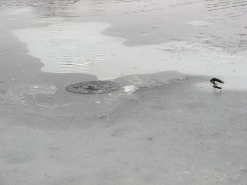 Chcą wędkować spod lodu, więc wchodzą na ledwie zamarznięte jeziora - 1