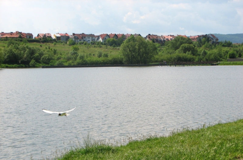 Remont budowli zrzutowej zbiornika wodnego Witoszówka II w Świdnicy - fot. mat. prasowe