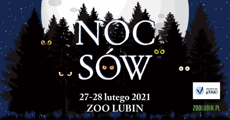 Pójdą dziś w las szukać sów - fot. mat. prasowe