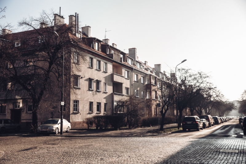 Zdjęcie dnia: o poranku - P. Dzwonkowska