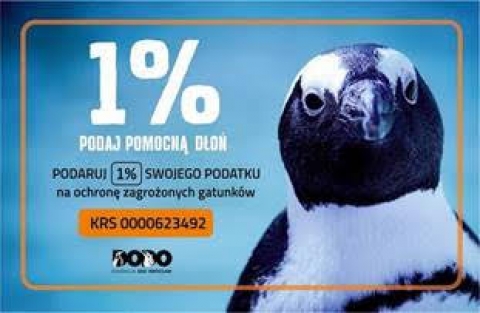 Wrocław: Będzie więcej pieniędzy na ratowanie pingwinów - 0