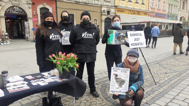 Organizacja Viva informuje o sytuacji zwierząt w przemyśle - fot. Beata Makowska