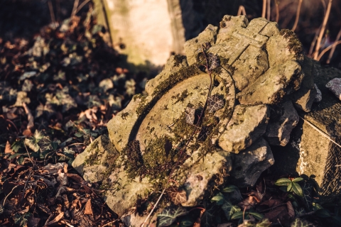 Ukryta na wzgórzu neogotycka kaplica i kostnica [FOTOSPACER] - 5