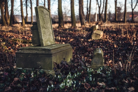 Ukryta na wzgórzu neogotycka kaplica i kostnica [FOTOSPACER] - 6