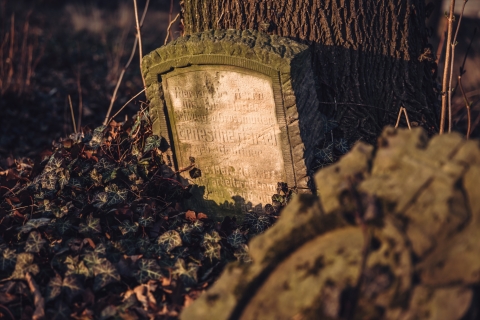 Ukryta na wzgórzu neogotycka kaplica i kostnica [FOTOSPACER] - 7