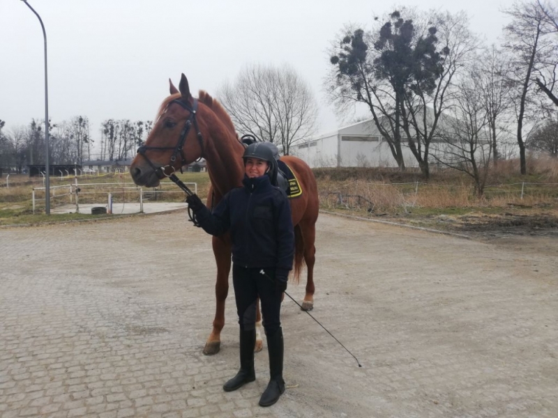 Patrol na czterech kopytach. Straż miejska rekrutuje - fot. Beata Makowska