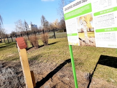Lubińskie zoo zachęca do tworzenia hoteli dla zapylaczy - 1