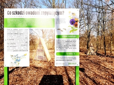 Lubińskie zoo zachęca do tworzenia hoteli dla zapylaczy - 3