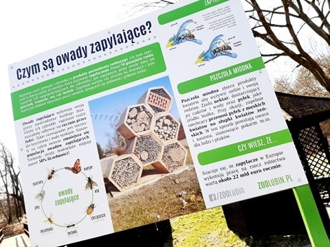 Lubińskie zoo zachęca do tworzenia hoteli dla zapylaczy - 4