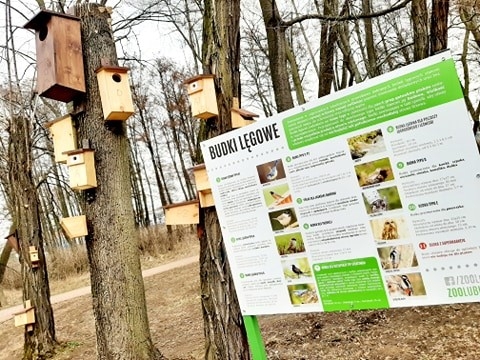 Lubińskie zoo zachęca do tworzenia hoteli dla zapylaczy - 5