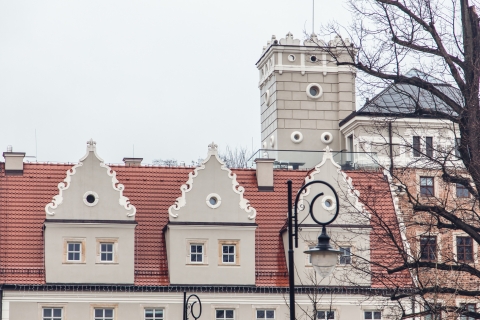 Topacz w deszczu [FOTOSPACER] - 10