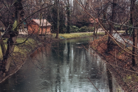 Topacz w deszczu [FOTOSPACER] - 11