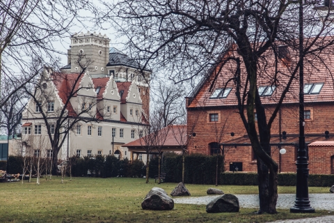 Topacz w deszczu [FOTOSPACER] - 12