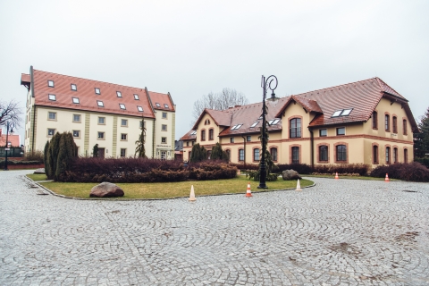 Topacz w deszczu [FOTOSPACER] - 15