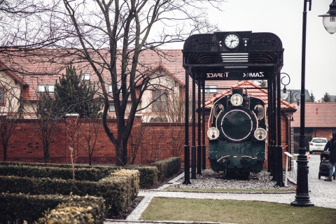 Topacz w deszczu [FOTOSPACER] - 16