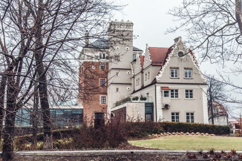 Topacz w deszczu [FOTOSPACER] - 18