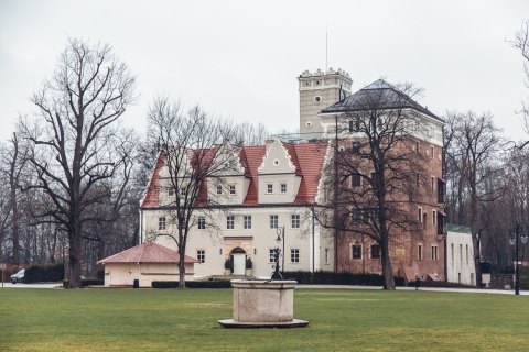 Topacz w deszczu [FOTOSPACER] - 19